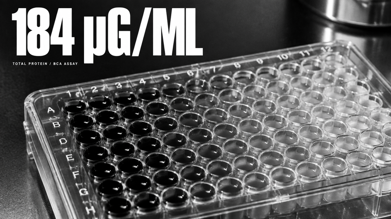 4 / BCA ASSAY — 총단백질 약 184 μg/mL